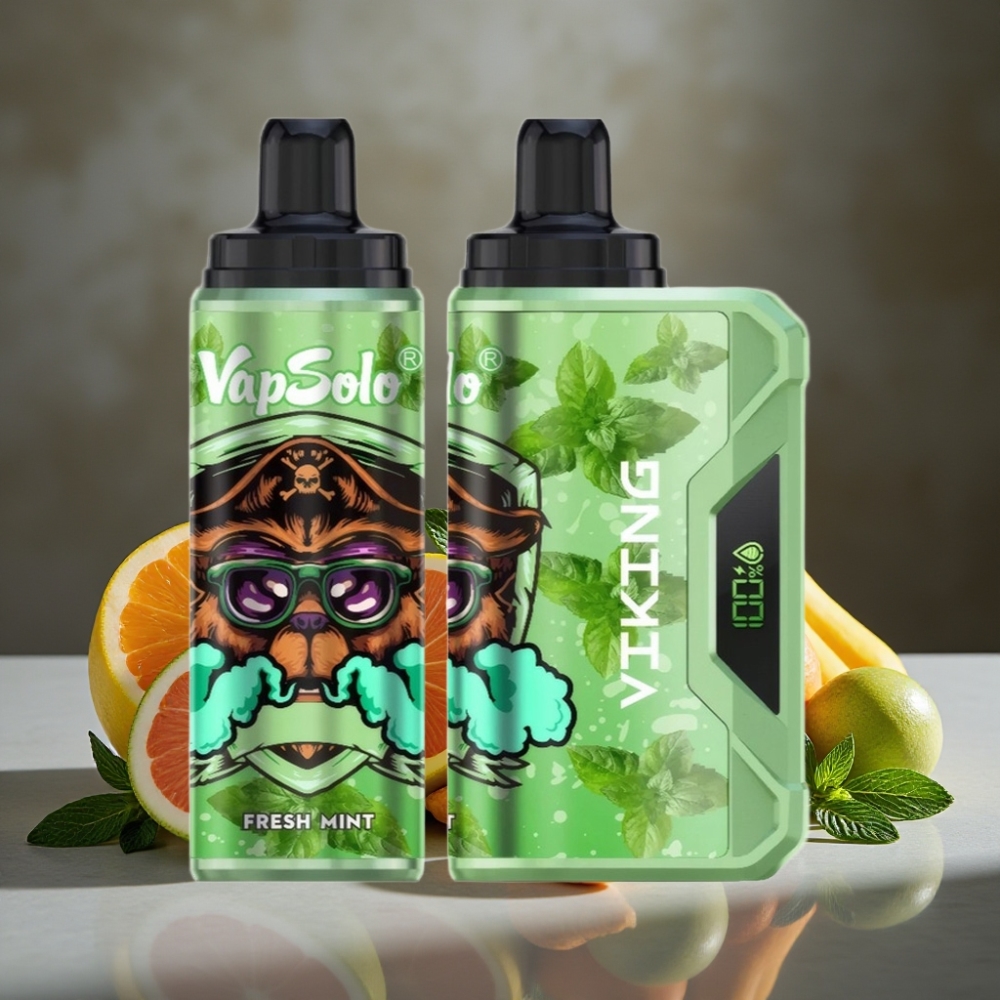 VapSolo VIKING 12000 Puffs Disposable Vape Čerstvá Mätová